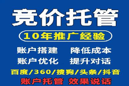SEM运营公司成功案例解析